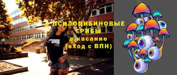 крисы Сатка