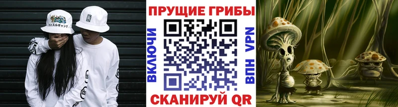 гидра как войти  Кедровый  Галлюциногенные грибы GOLDEN TEACHER 